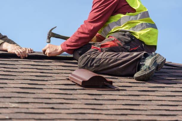 Best Roof Gutter Cleaning  in Cerro Gordo, IL