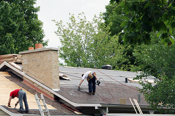 Best Storm Damage Roof Repair  in Cerro Gordo, IL