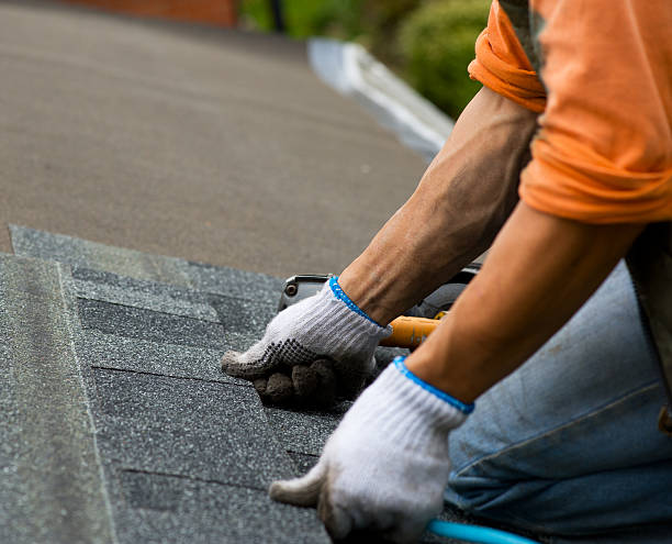 Roof Waterproofing Services in Cerro Gordo, IL
