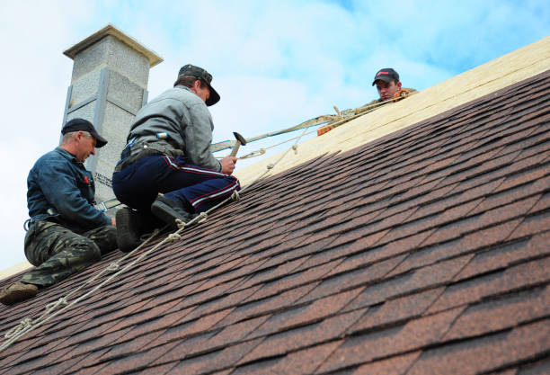 Best Flat Roof Repair Services  in Cerro Gordo, IL